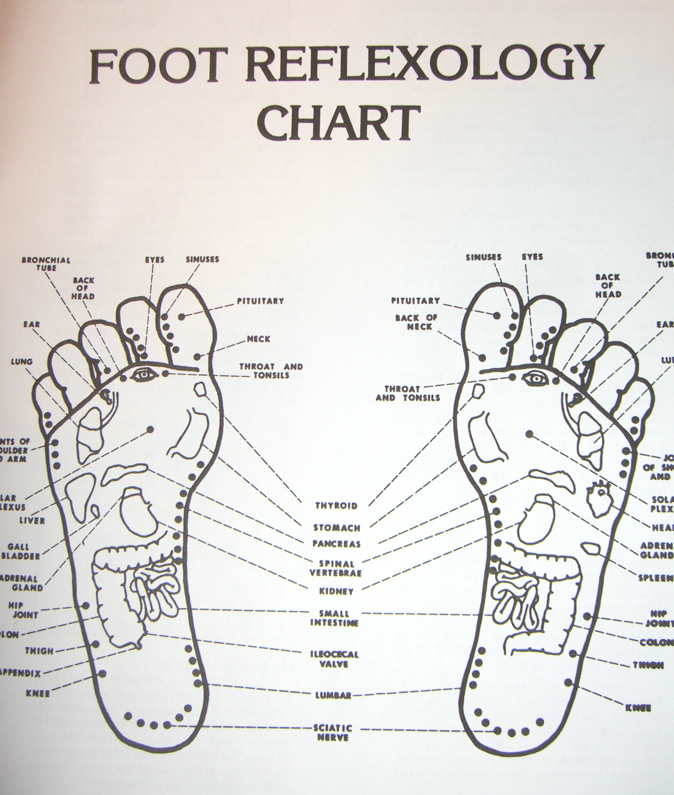 Introduction To Acupressure Points Qi Gong Self Acupressure Acupressure Points