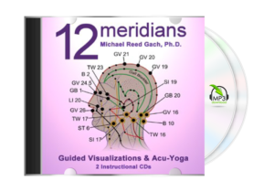 12 Meridians audio cover