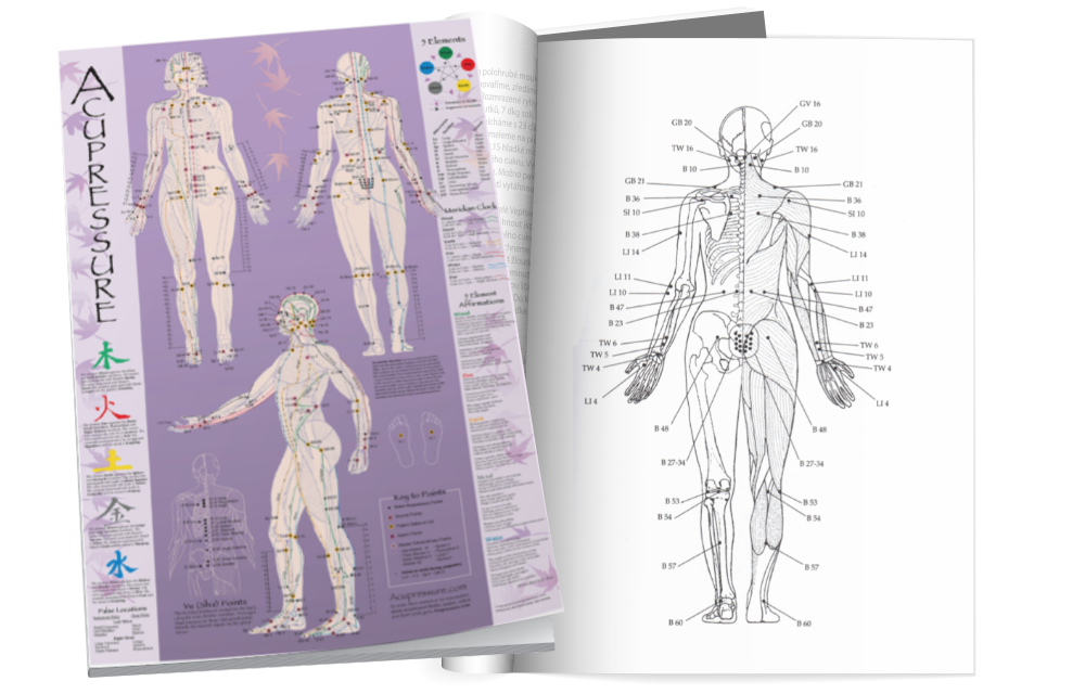 Acupressure Chart and Booklet