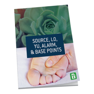 Source, Lo, Yu, Alarm and Base Points booklet
