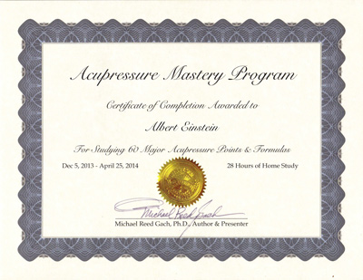 Mastery Program certificate example