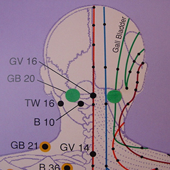 Chart of head acupressure points.