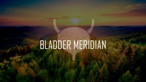 Bladder Meridian