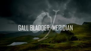 Gall Bladder Meridian