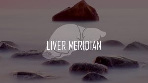 Liver Meridian