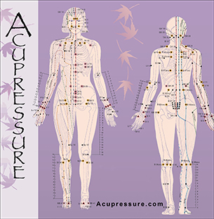 FREE Acupressure Point Chart icon