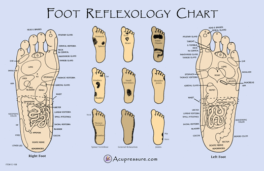 Foot reflexology chart.