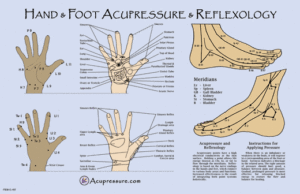 Hand and foot reflexology charts.