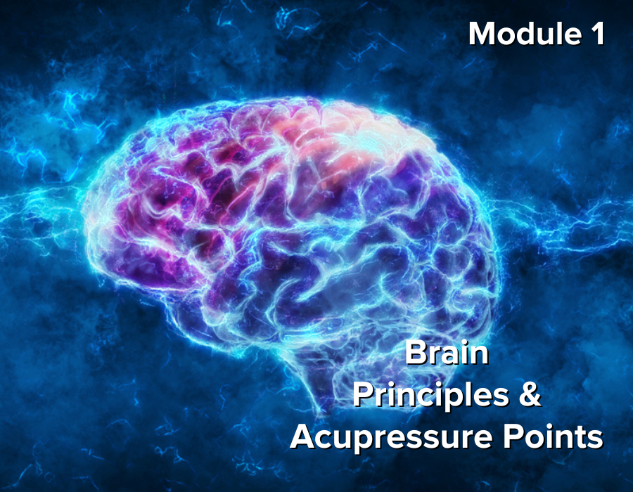 Acupressure Brain Power Points Module 1 - Brain Principles & Acupressure Points