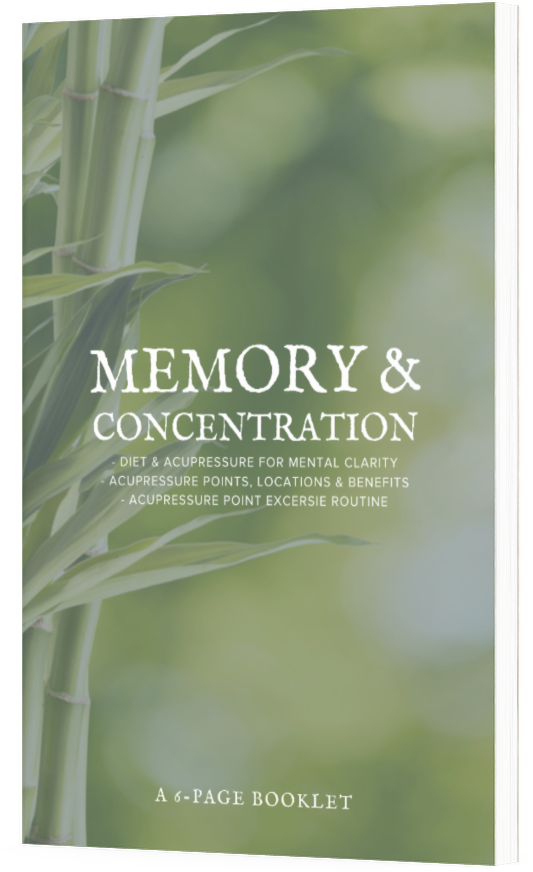 Memory & Concentration Booklet Cover