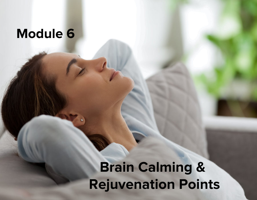 Acupressure Brain Power Points Module 6 - Brain Calming & Rejuvenation Points