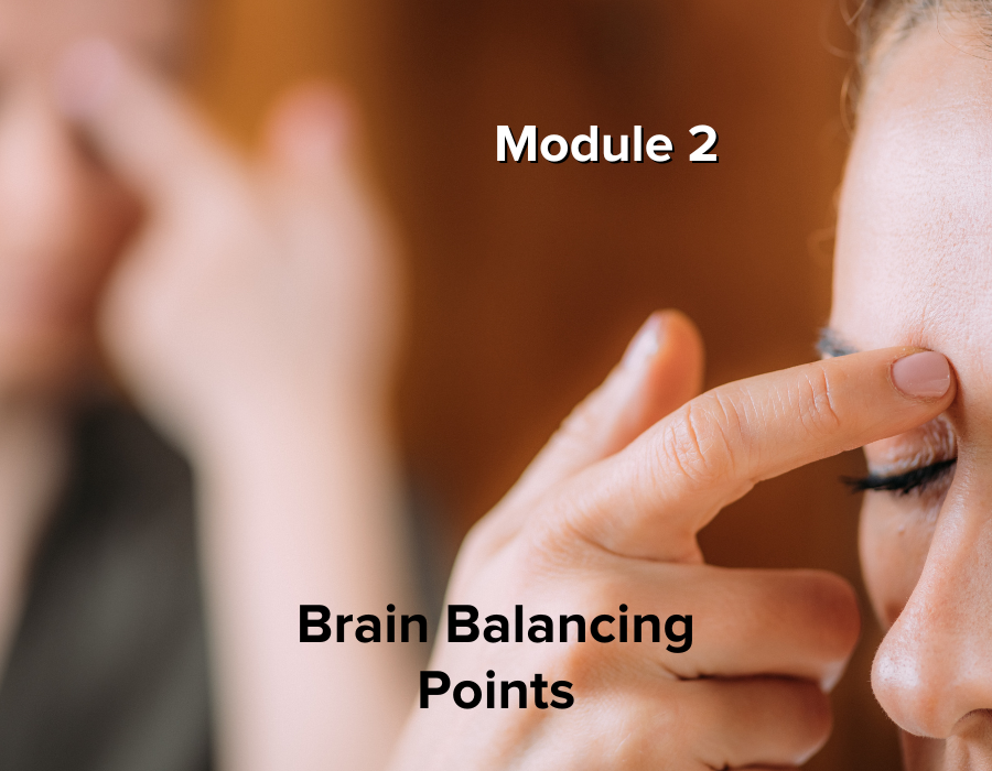 Acupressure Brain Power Points Module 2 - Brain Balancing Points