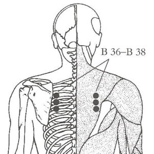 Diagram of B 36 through B 38