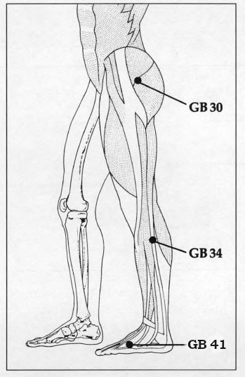Diagram of Hip Acupressure Points