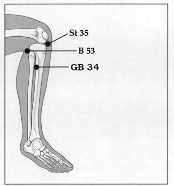 Diagram of Knee Acupressure Points