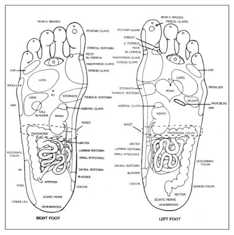 Reflexology with Acupressure | Acupressure | Certified Online Training ...