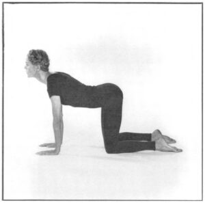Acu-Yoga Chakras Pose