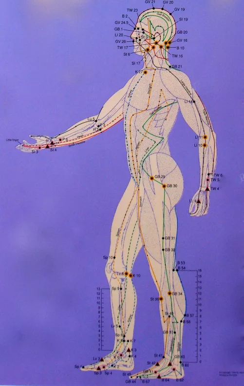 Anatomical side view of acupressure points.