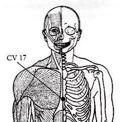 Chart showing acupressure point CV 17.