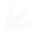Acupressure.com Logo